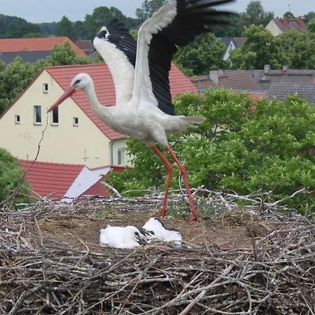 招待所 Landpension Adebar