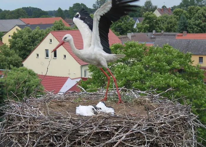Konukevi Landpension Adebar