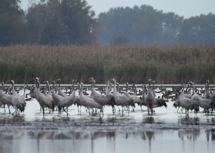 Landpension Adebar Konukevi Linum