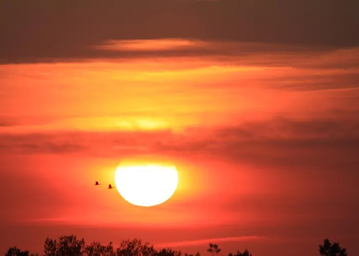 Konukevi Landpension Adebar 3*