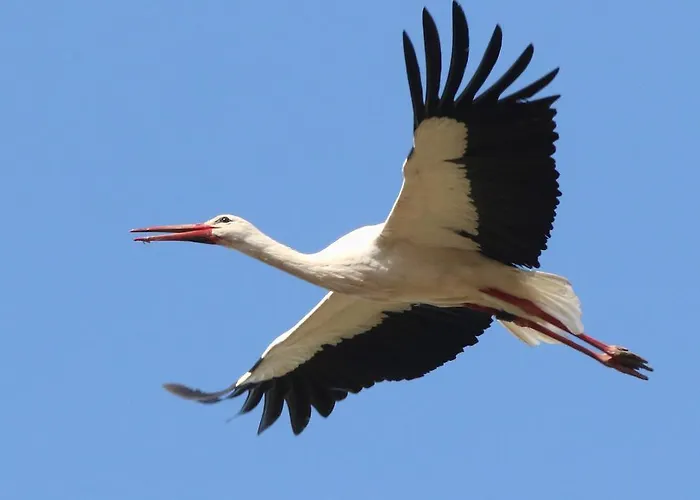 Landpension Adebar 3*