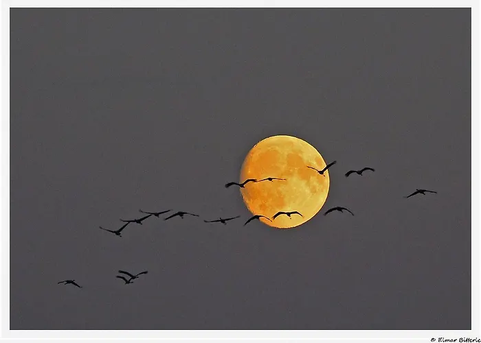 Landpension Adebar 3* Linum