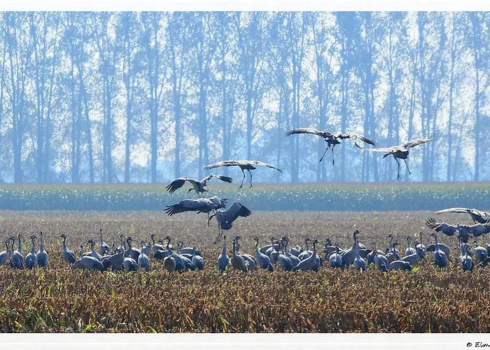 Landpension Adebar Konukevi Linum